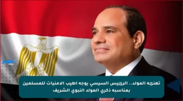 تهنئة المولد.. الرئيس السيسي يوجه أطيب الأمنيات للمسلمين بمناسبة ذكرى المولد النبوي الشريف